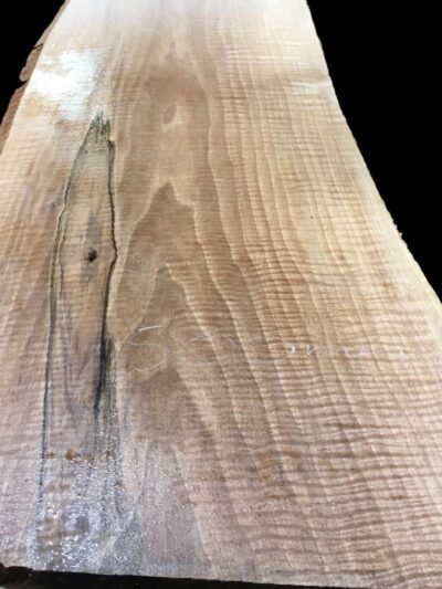 European Walnut