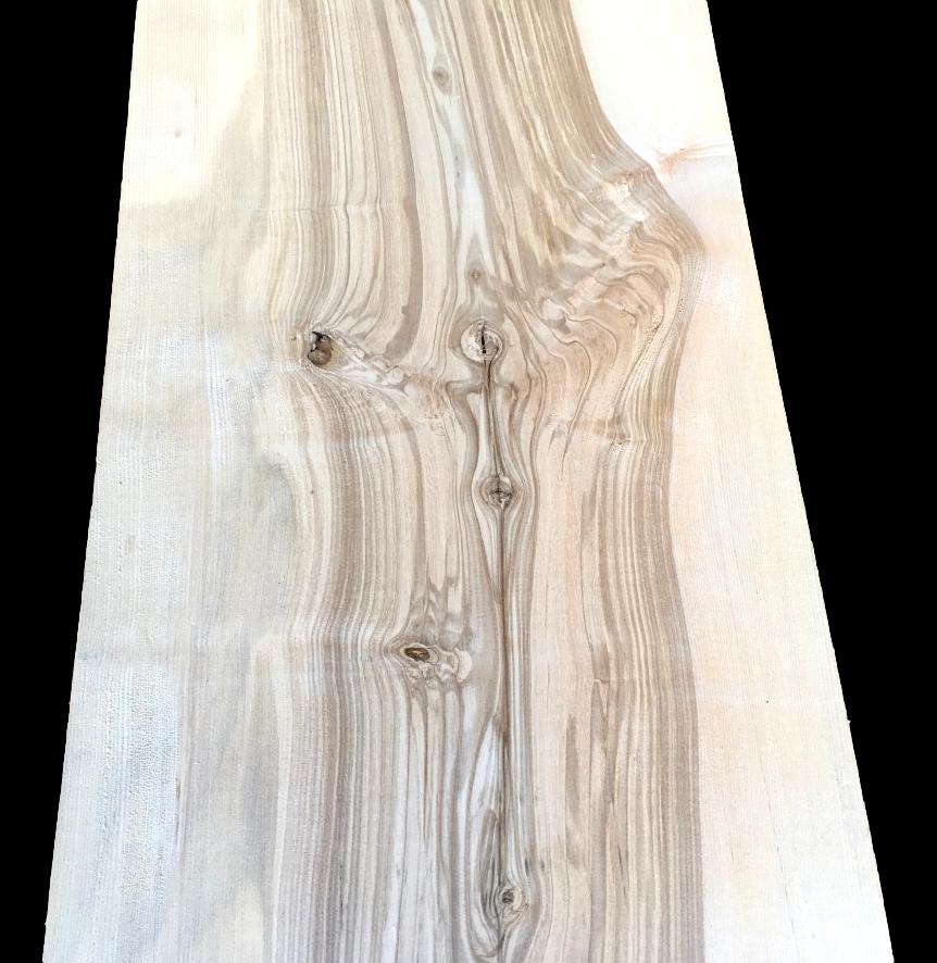 English Ash