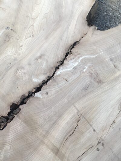 Live Edge Wood Slabs - Shorter than 2.5m