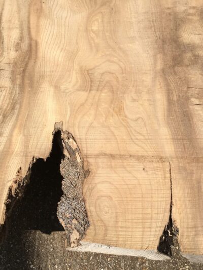 Live Edge Wood Slabs - 2.5m and Longer