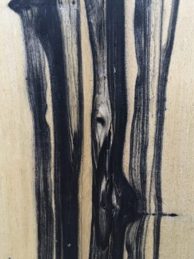 Pale Moon Ebony