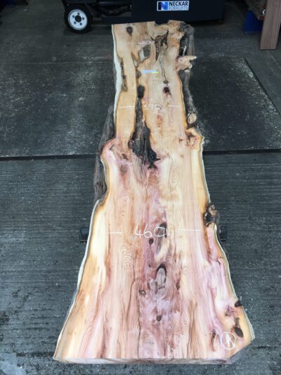 Yew Timber Slab