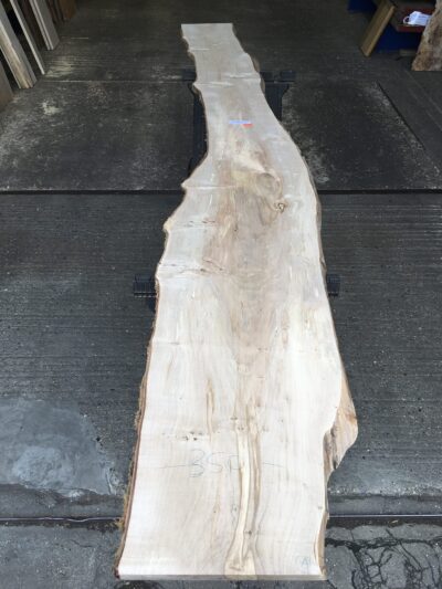 Field Maple Timber