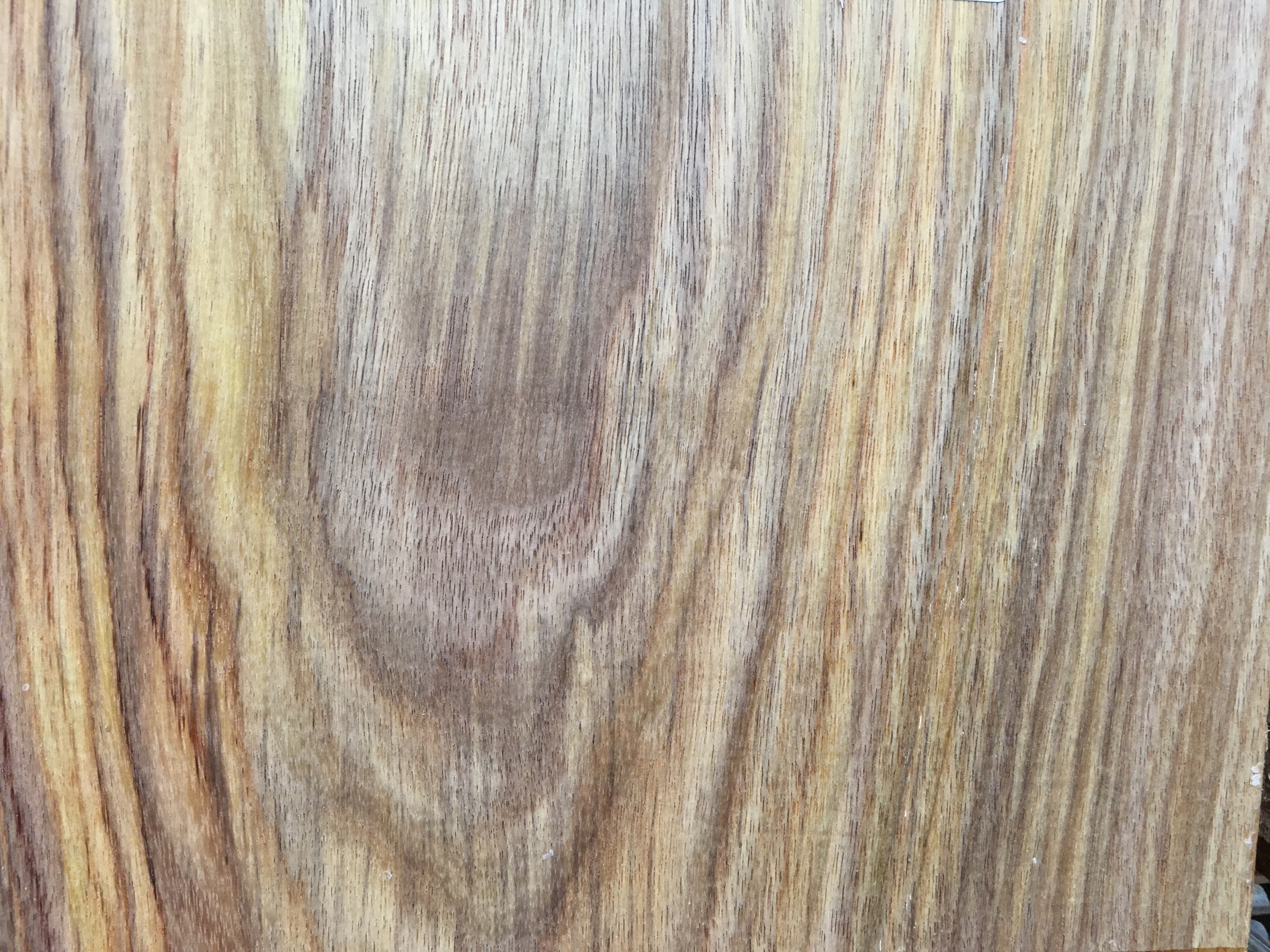 Canarywood Wood Turning Blanks