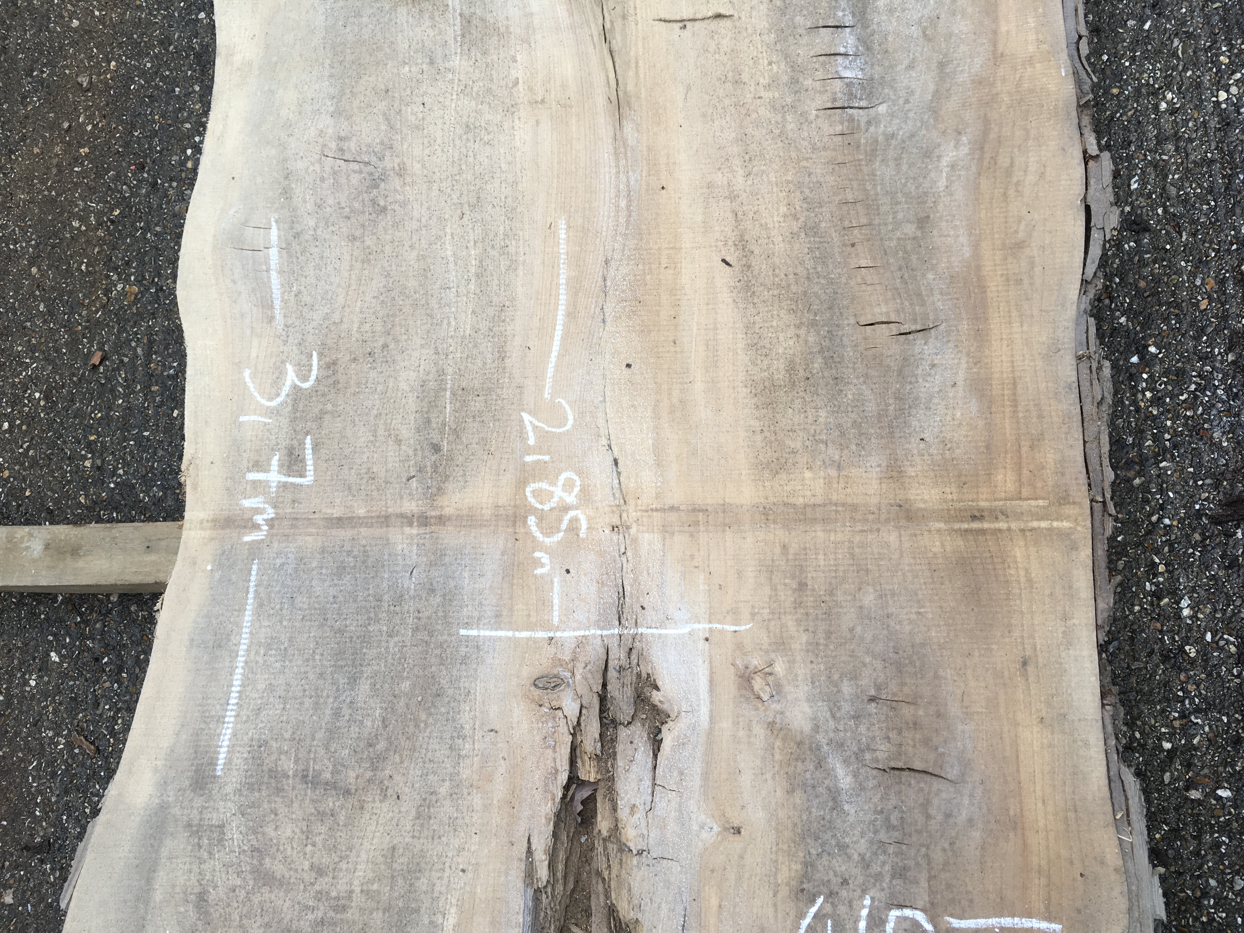 English Elm Timber Slab