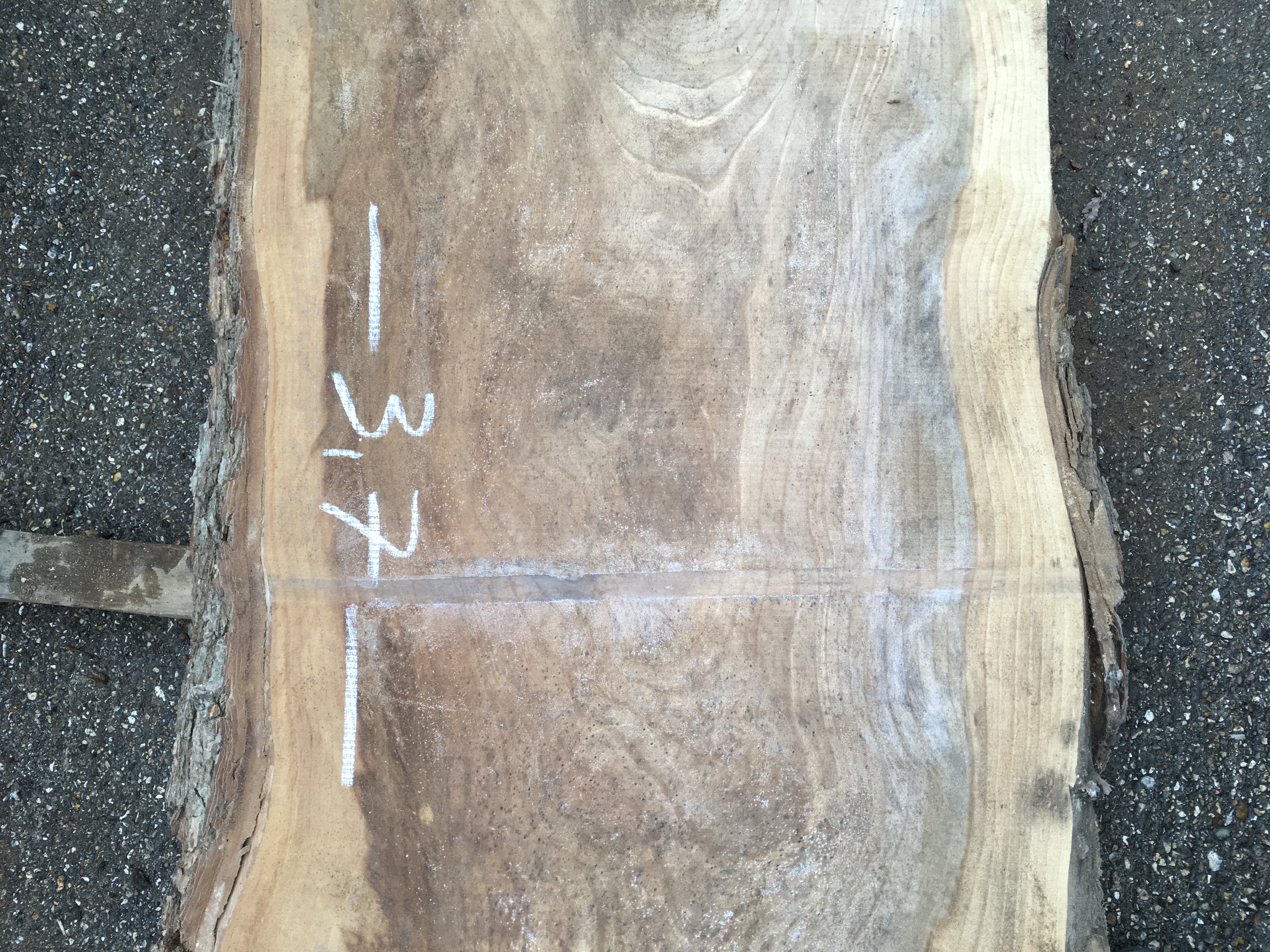 English Elm Timber Slab