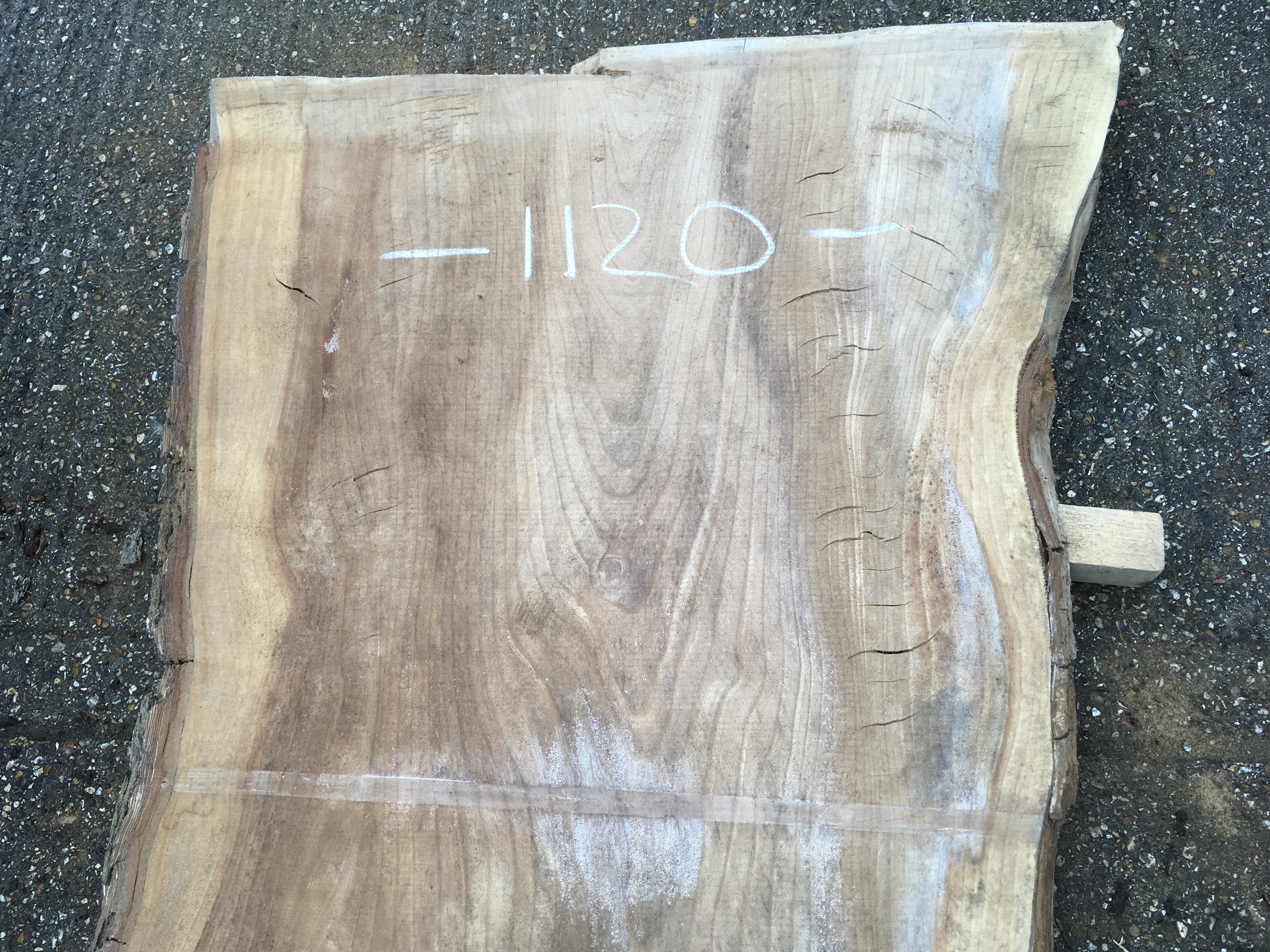 English Elm Timber Slab