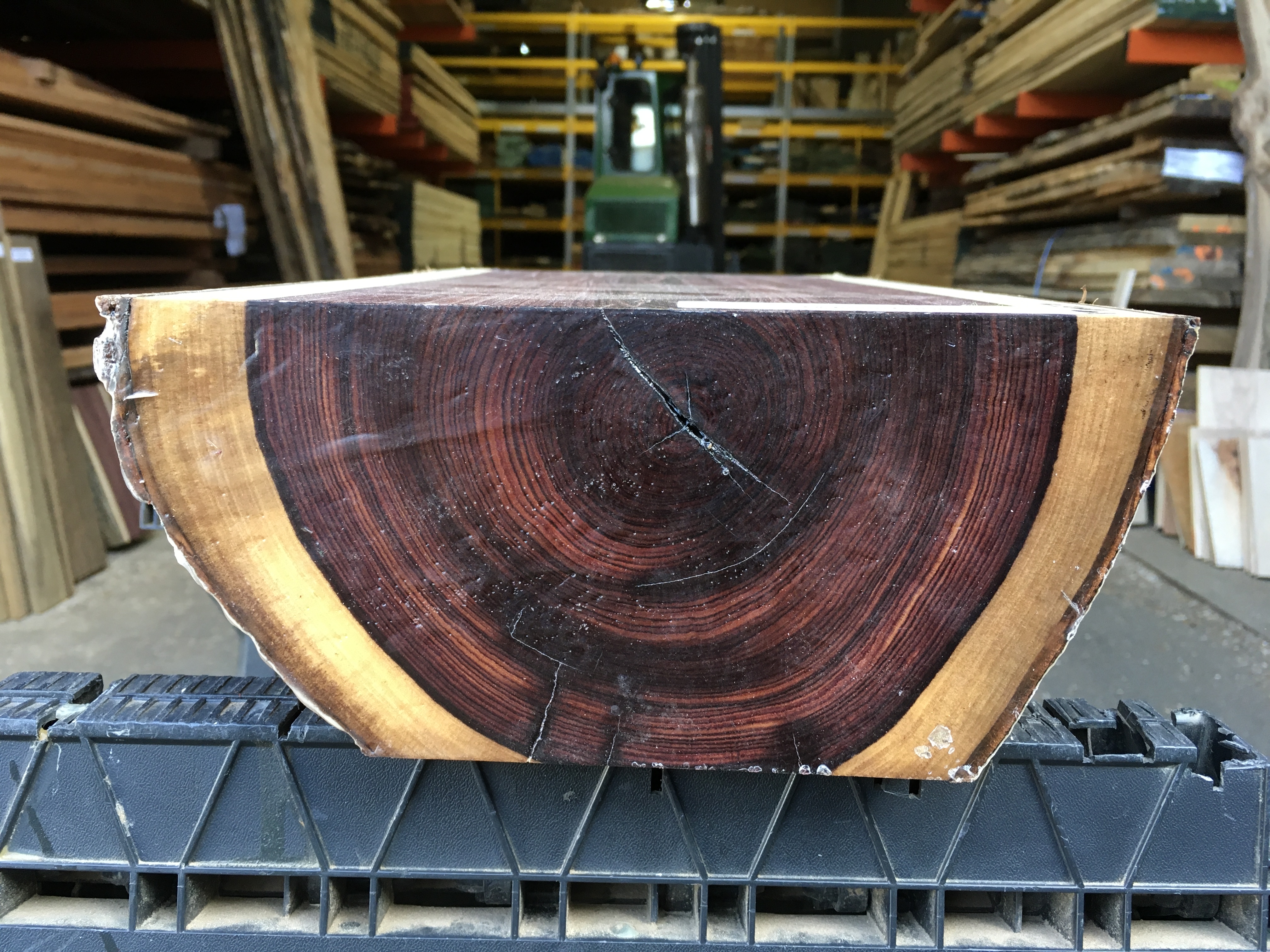 キングウッド Kingwood #1 - Surrey Timbers ltd