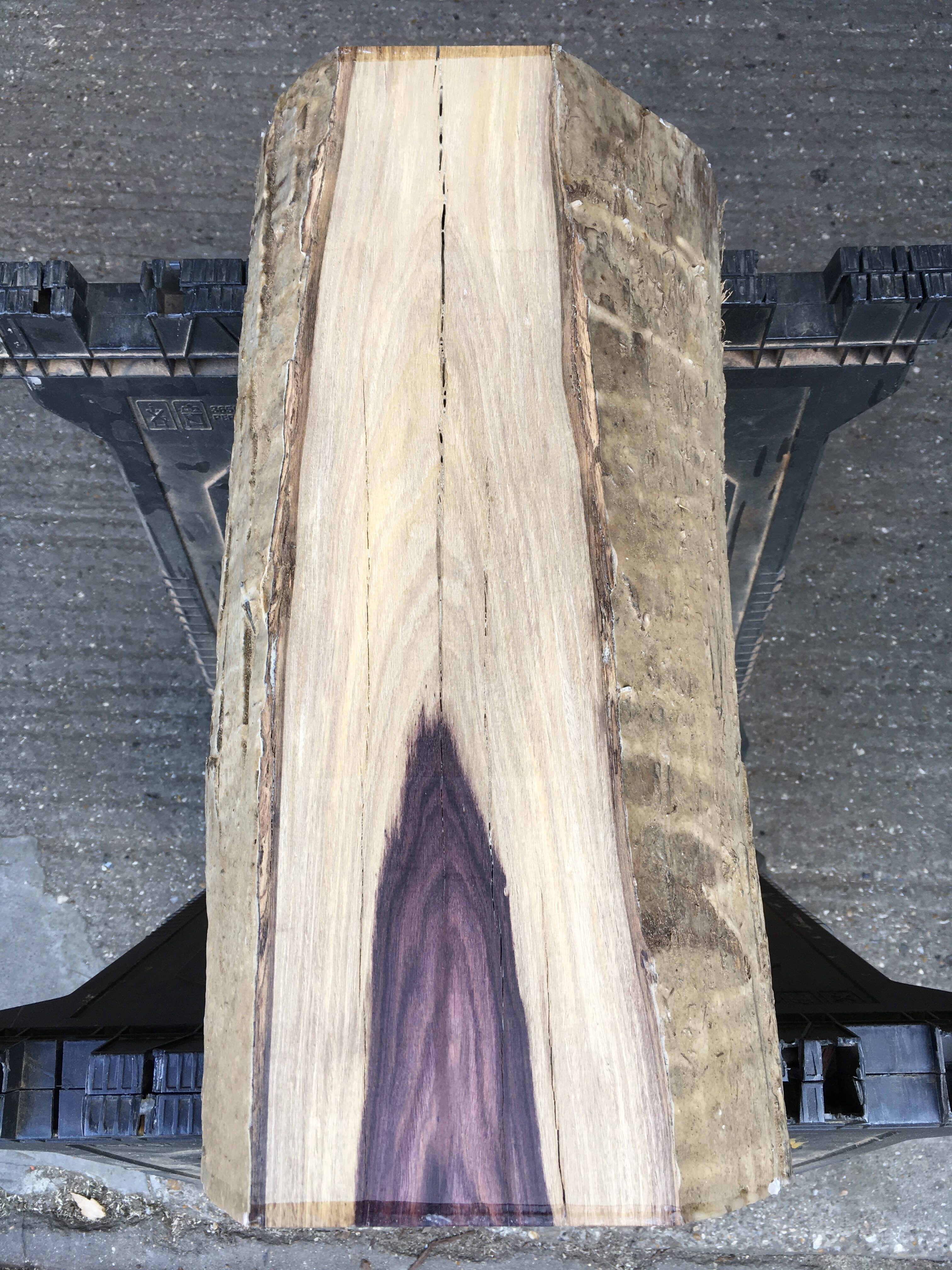 Kingwood #1 - Surrey Timbers ltd