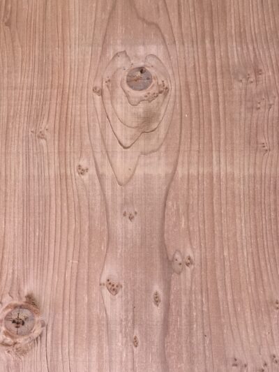 Sequoia (Redwood)