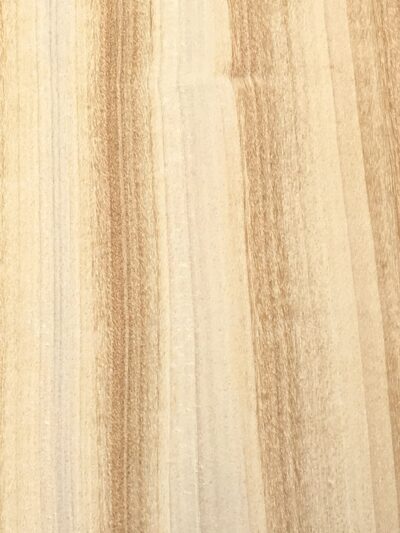 Satinwood