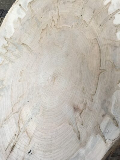 Ambrosia Maple
