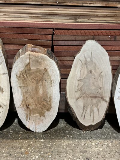 Ambrosia Maple Ovals