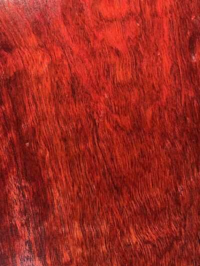 Bloodwood