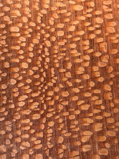 Leopardwood