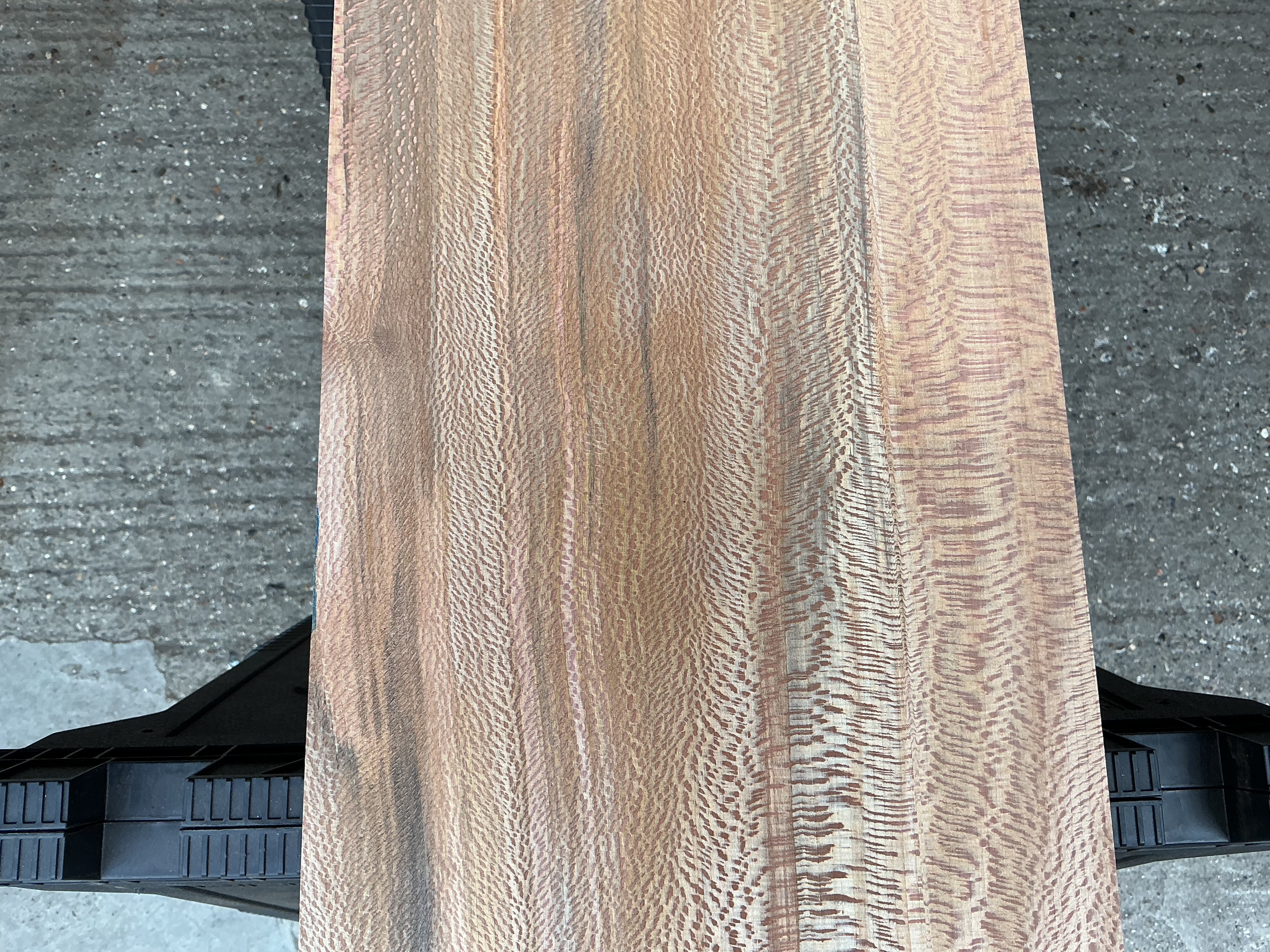 London Plane Timber