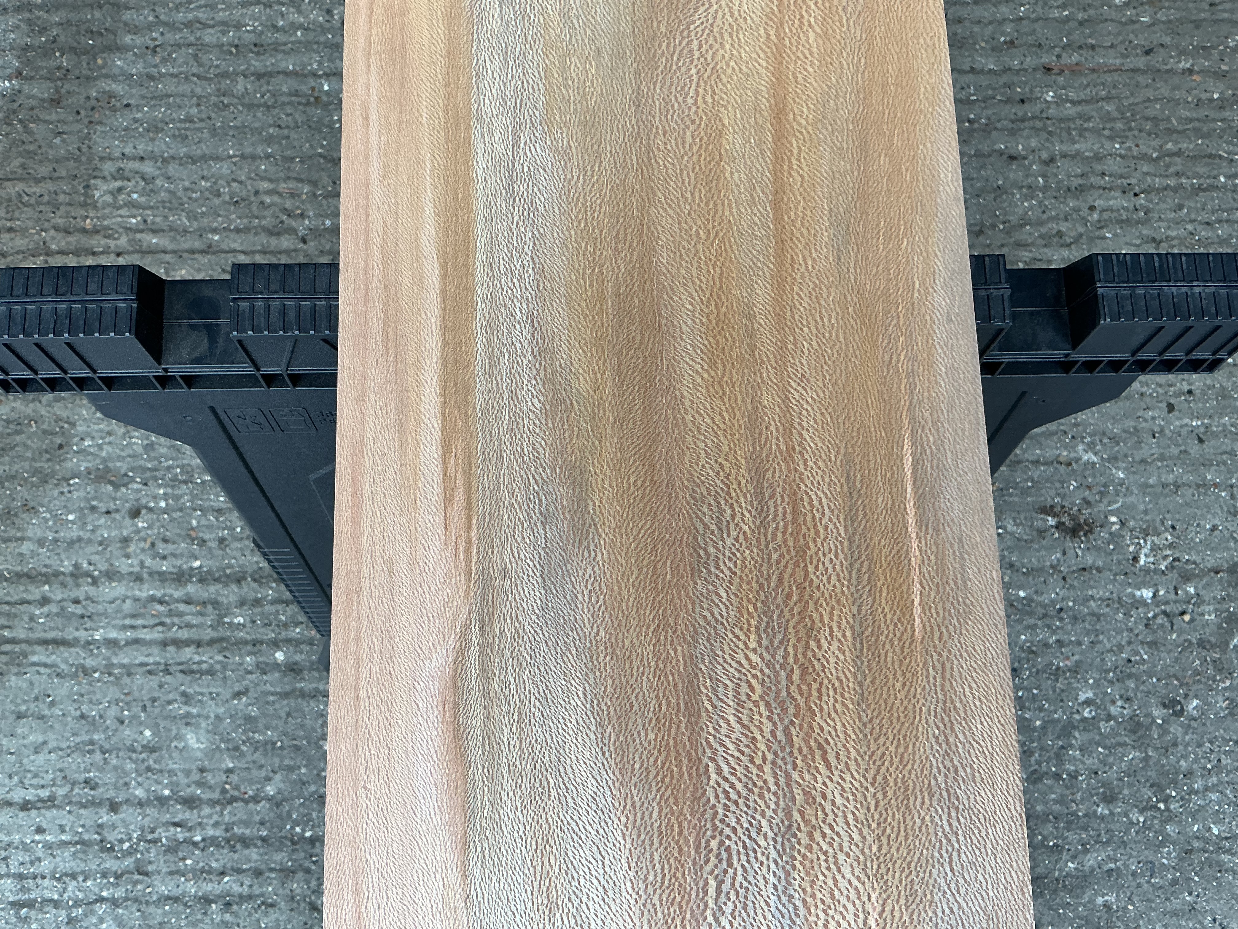 London Plane Timber