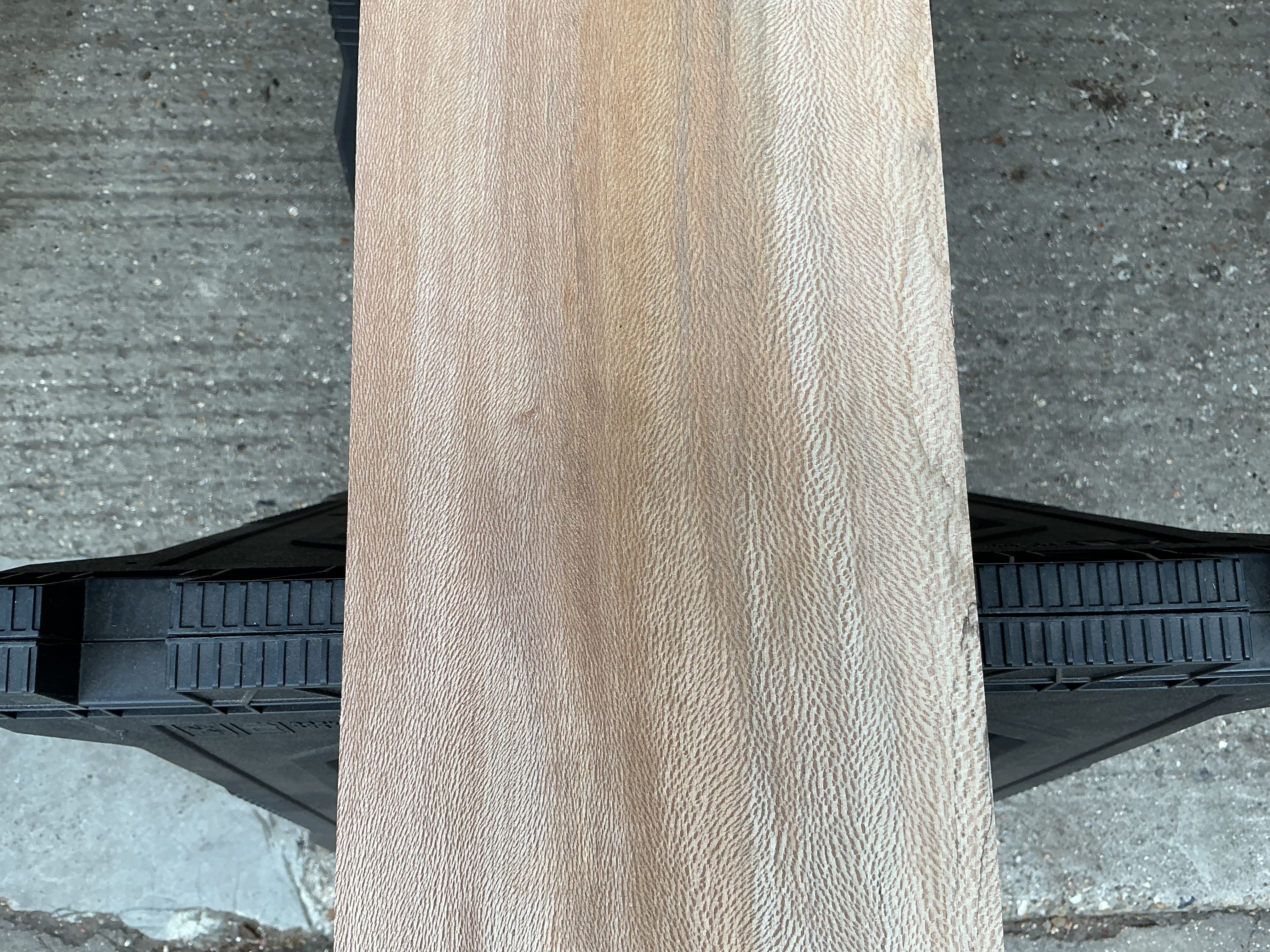 London Plane Timber