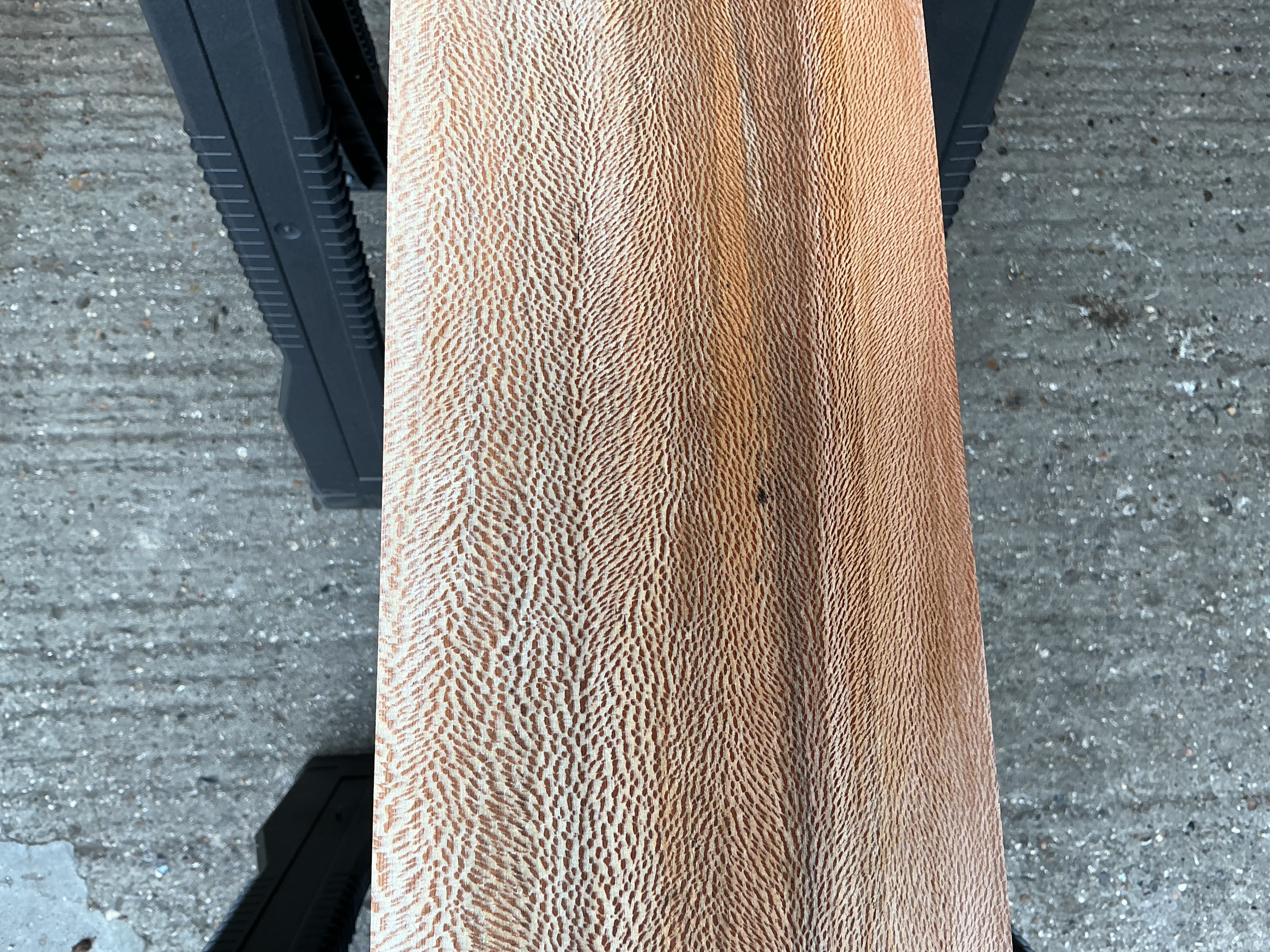 London Plane Timber