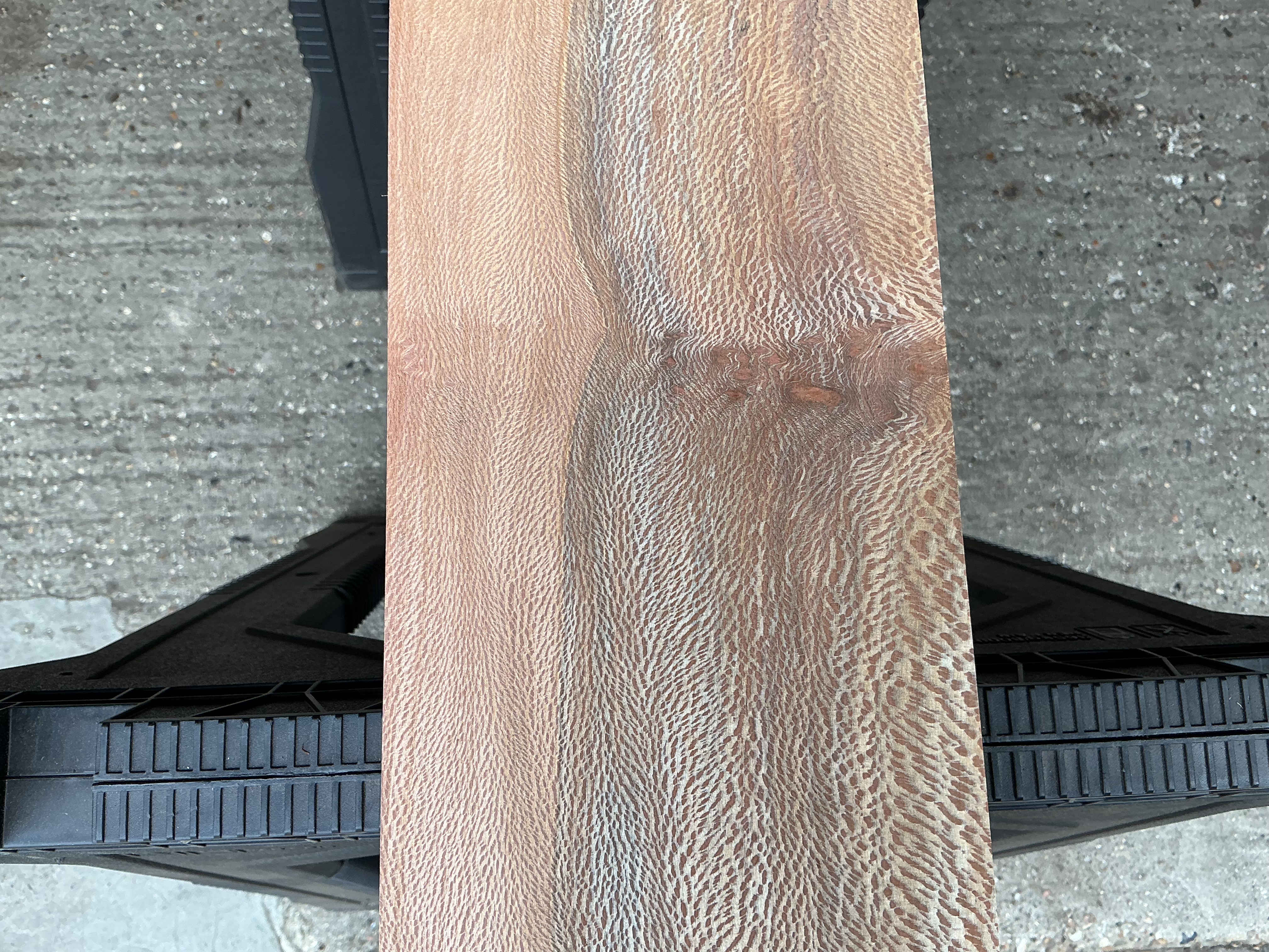 London Plane Timber
