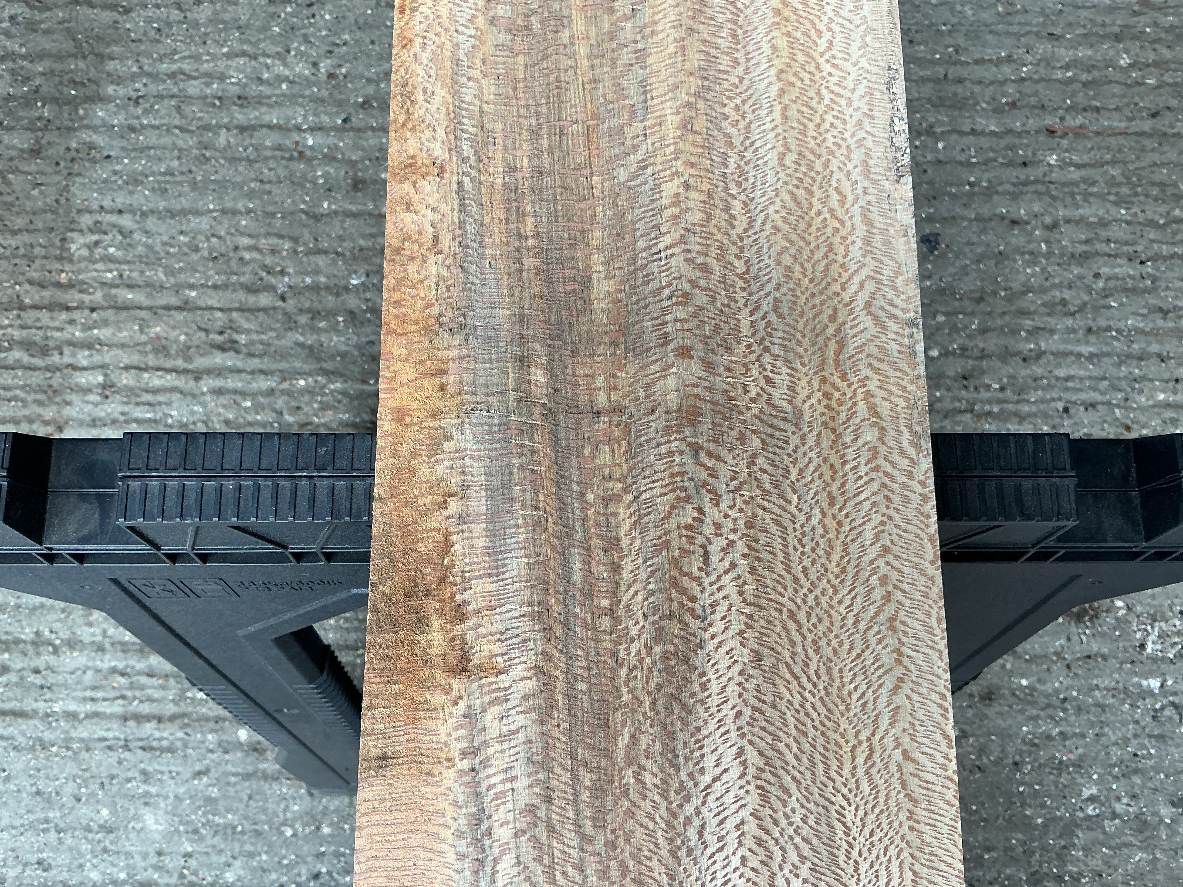 London Plane Timber