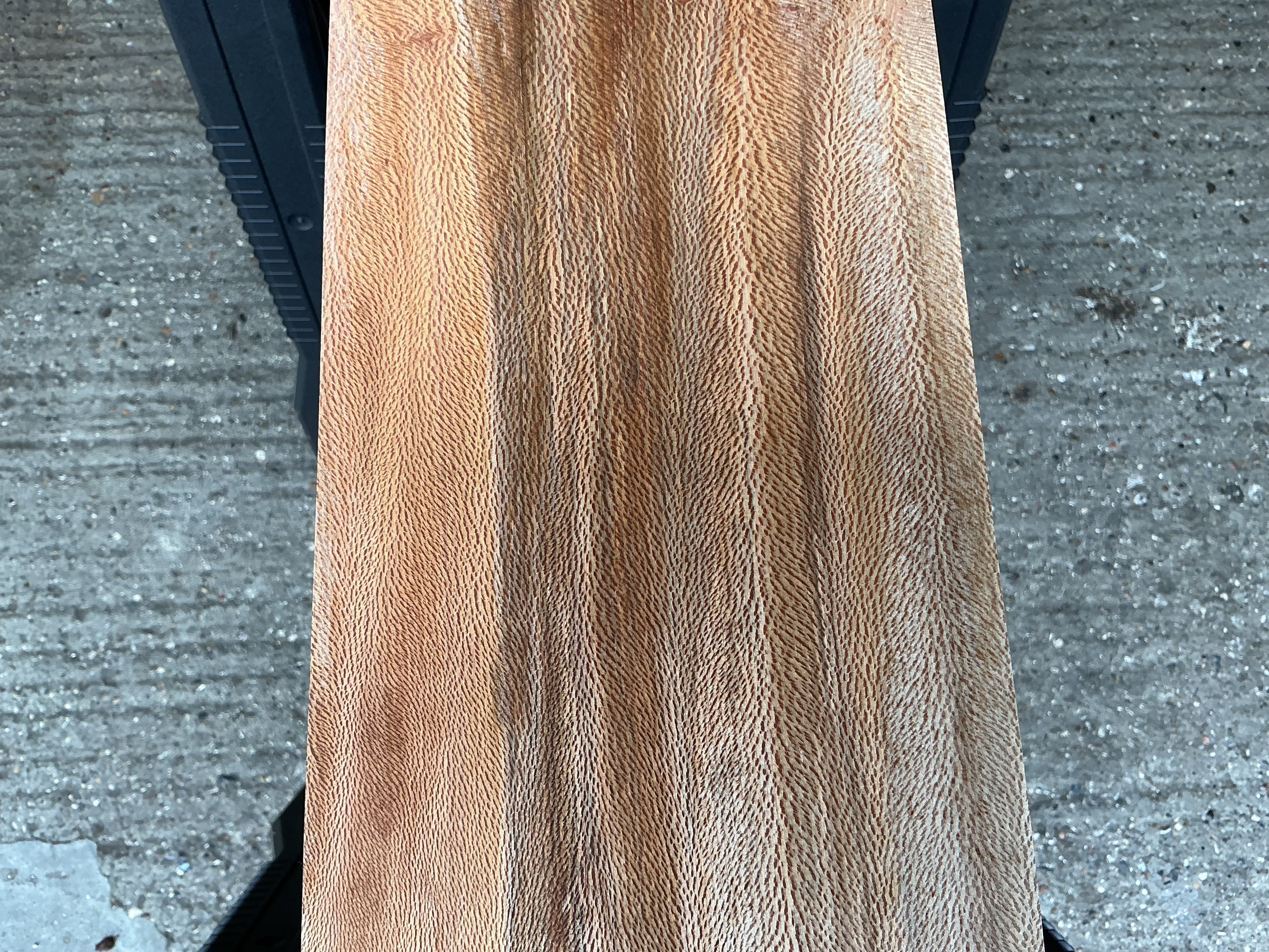 London Plane Timber
