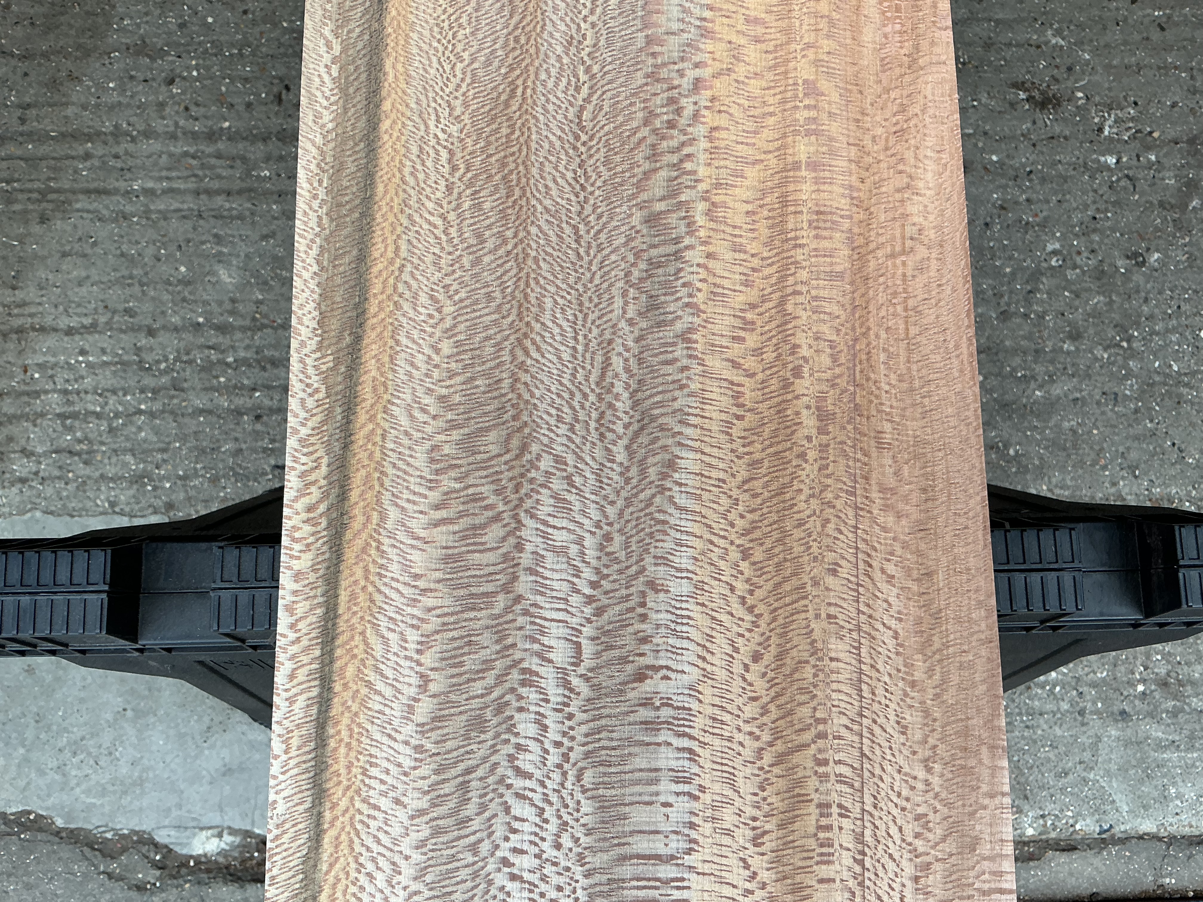 London Plane Timber