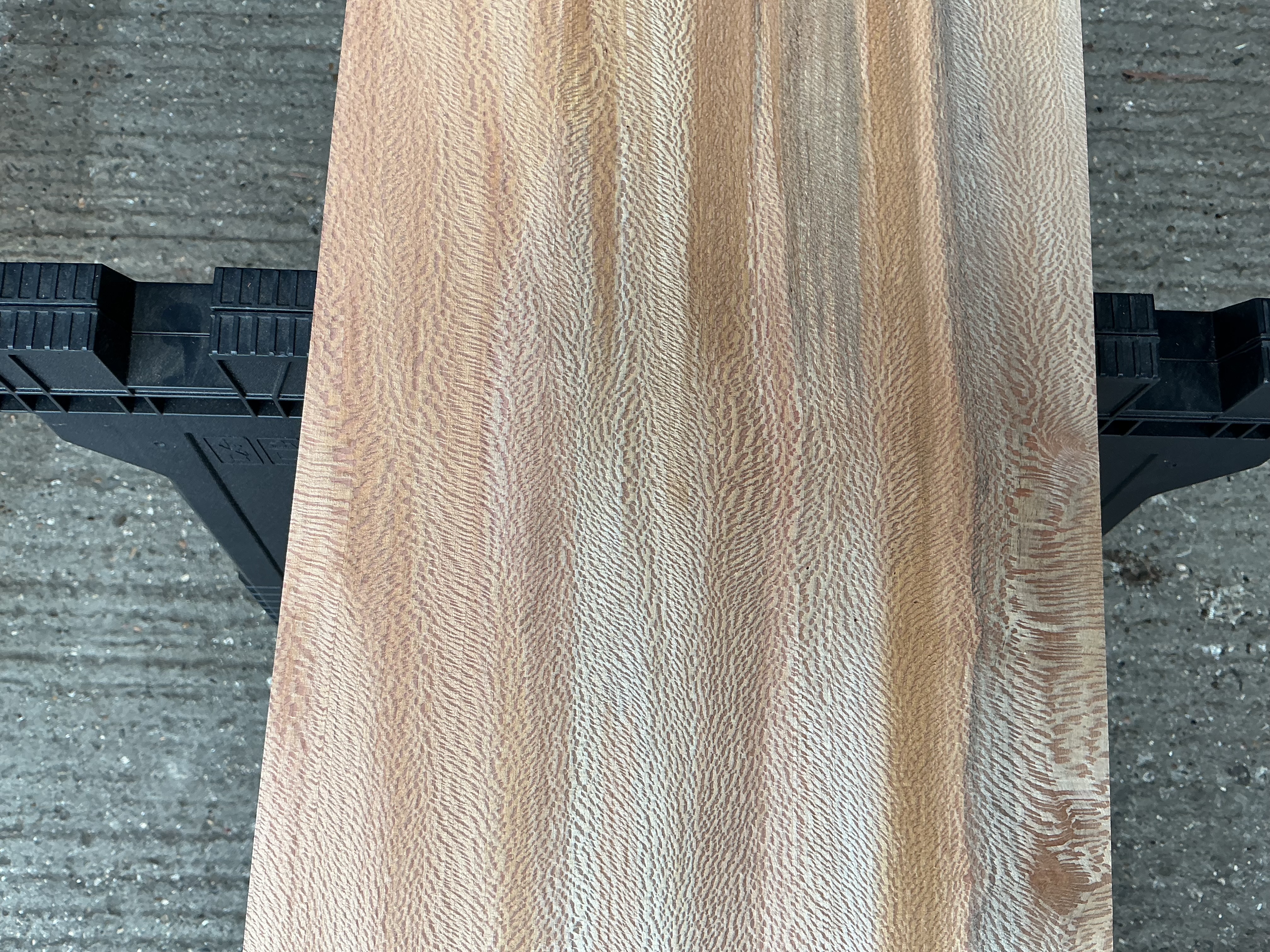 London Plane Timber