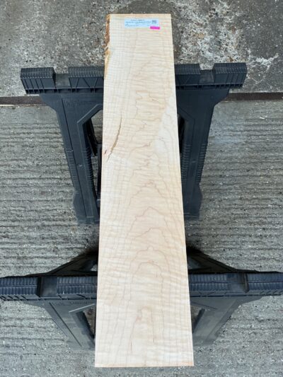 American Curly Maple 19-26