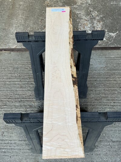 American Curly Maple 20-26