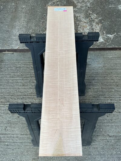 American Curly Maple 23-26