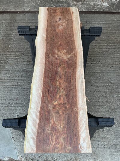 Chechen Timber 21-26