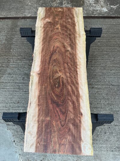 Chechen Timber 22-26