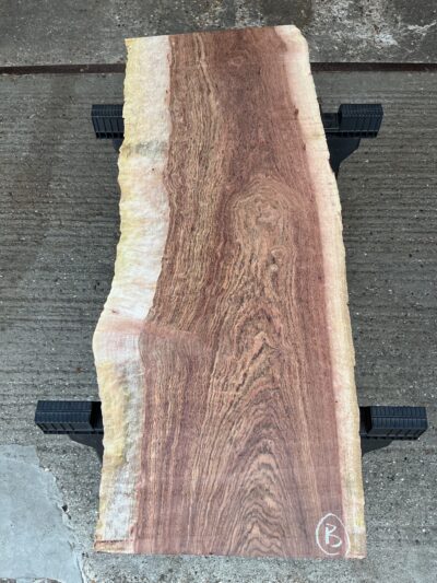 Chechen Timber 23-26